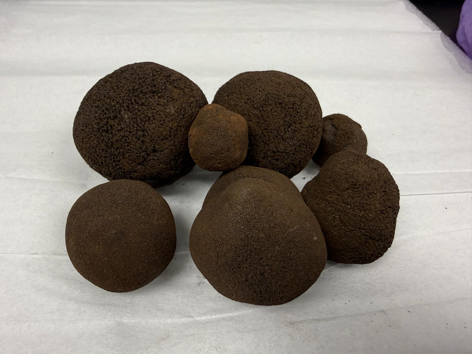 Polymetallic nodules used in Green Manganese's bench-scale test work.